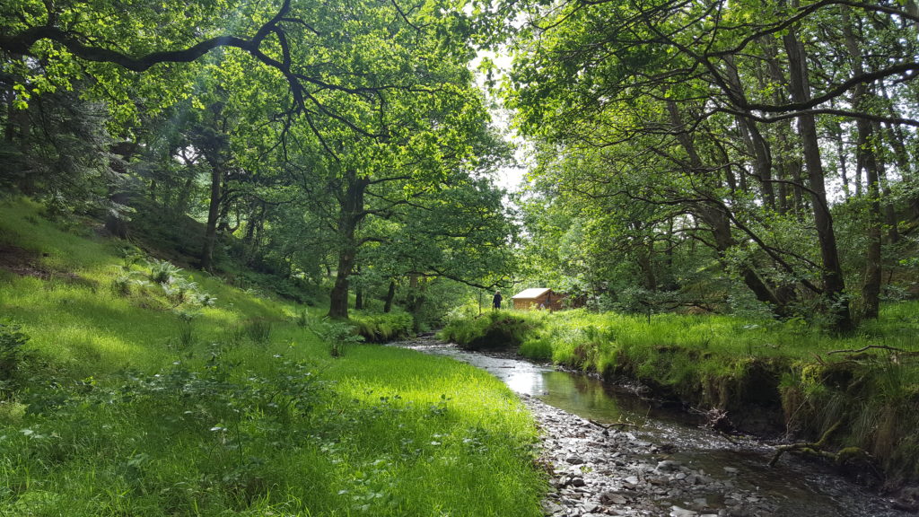 Dorset campervan trip