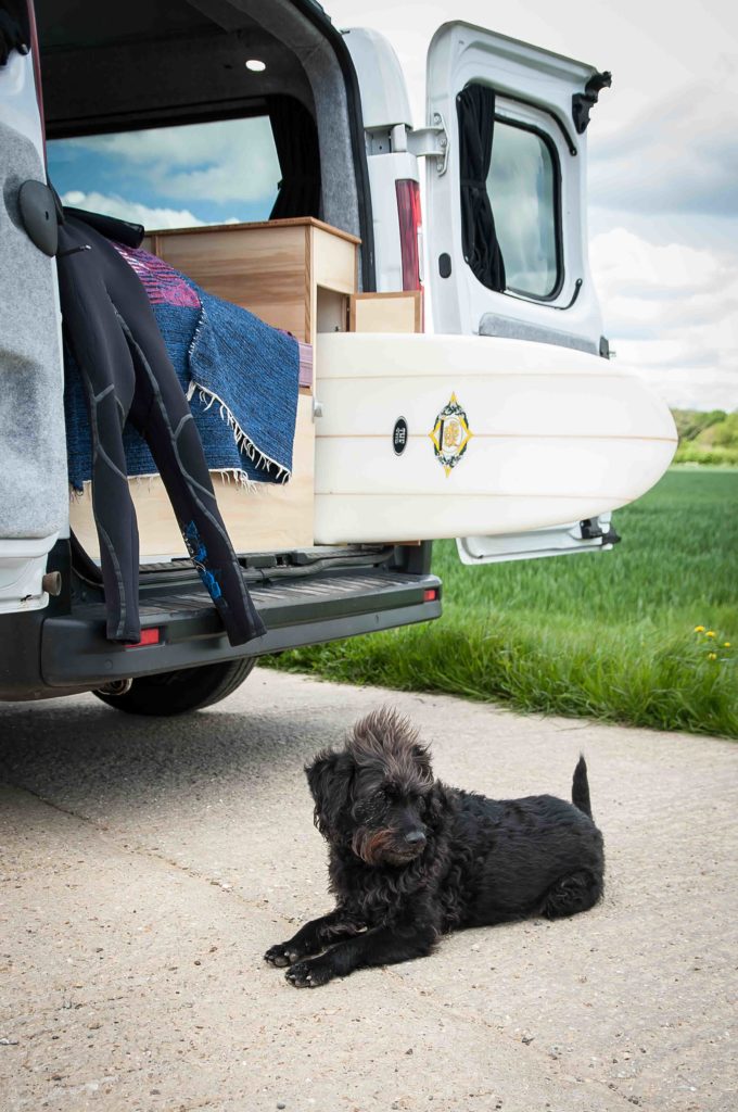 campervan conversion and dog